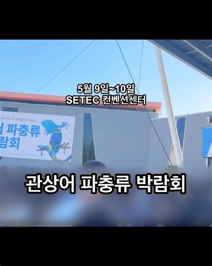 2026 관상어 파충류박람회에서 파충류만 보고옴,, #2026관상어파충류박람회 #박람회 #관상어 #파충류 #도마뱀 #크레스티드게코 #레오파드게코 #릴리초초
