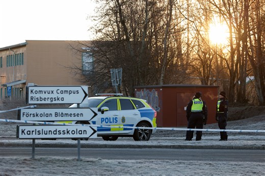 Homicides in Sweden hit lowest level in over a decade in 2025
