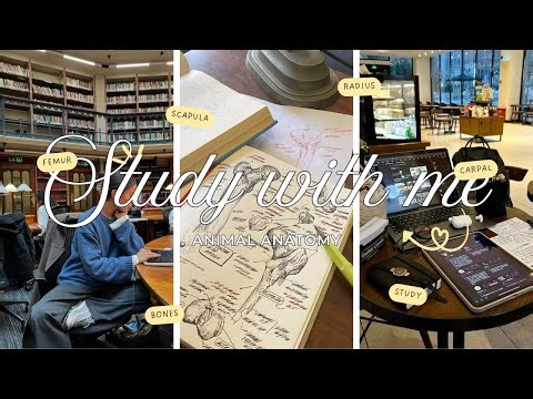 STUDY WITH ME 🎀 I 1 hour of ANATOMY 🫀🦴