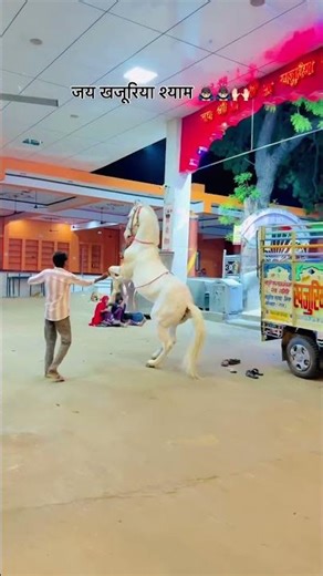 horse vip ghode ka dance #horse #shortsviral #viralvideo #ghoda