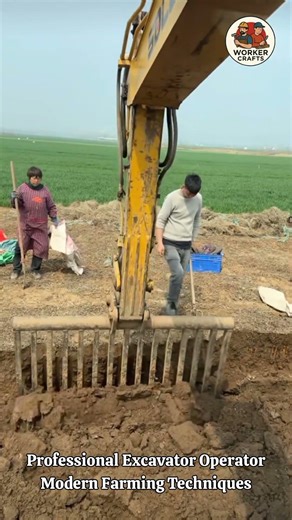 Amazing Excavator Rake Attachment for Perfect Land Clearing | Profesional Excavator Operator Farming