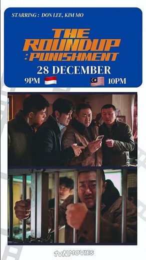 The Roundup: Punishment | tvN Movies