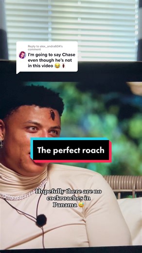 Too Hot to Handle: Chase's Cockroach Encounter