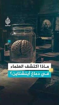 ماذا اكتشف العلماء في دماغ أينشتاين؟