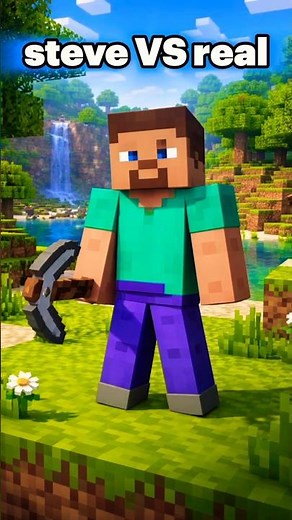 Minecraft but real Steve 😳