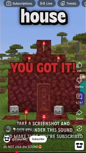 #minecraft