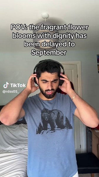 Where to Watch Romance Anime Online