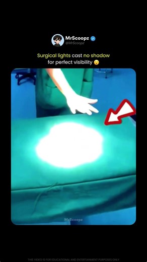 These Lights Remove Shadows Completely 😮
