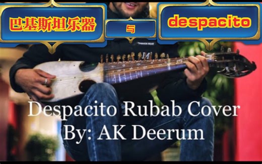 用巴基斯坦传统乐器 “Rubab” 弹 despacito