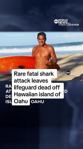 World-renowned surfer, Tamayo Perry, was killed in a rare fatal shark attack while surfing off the Hawaiian island of Oahu, according to officials. The Hawaiian local also acted in