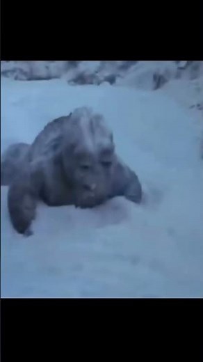 The saddest scene in Godzilla 😭 #godzilla #movies