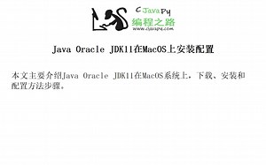 Java Oracle JDK11在MacOS上安装配置