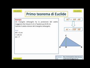 Primo teorema di Euclide: spiegazione facile ed efficace
