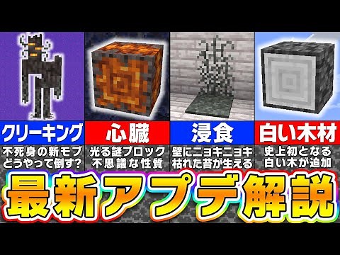 【マイクラ】最新アップデートの体験版が実装！ヤバすぎる新要素を徹底解説！【まいくら・マインクラフト】