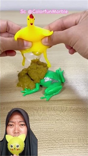 kodok kena tai ayam‼️ColorfunMarble #funny #dubbing #shorts