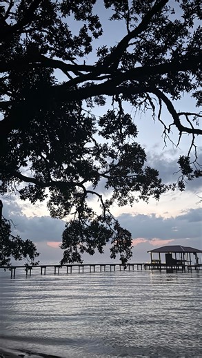 ☀️ gone but there is beauty that remains | Matt Jones