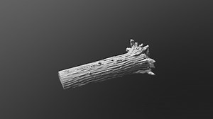 Fallen Tree Scatter - 3D model by HaldaneCreations (@Haldane)