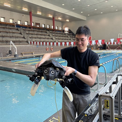 Forget Humanoids. At MIT, Worms and Turtles Are Inspiring a New Generation of Robots