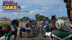 Wanna know what goes through the mind of one of the most successful drivers on Hambletonian day during a stretch drive? Sometimes our live mics catch gold! Delaney Hanover closes from waaaaaaay back to finish 3rd in the $500,000 Hambletonian Oaks #Swiftie #Youbelongwithme | Hambletonian Society