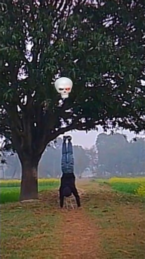 Morning #handstand #trending #shortvideo #handpower #body 🥷💪