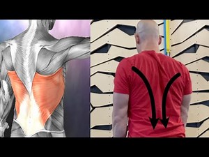 2 Isometric Exercises That Will Finally Work Your Stubborn Lats