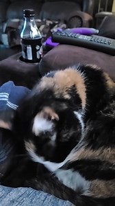 Autumn is home!! Check out their celebration video here. | Shadow