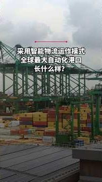 采用智能物流运作模式 全球最大自动化港口长什么样？