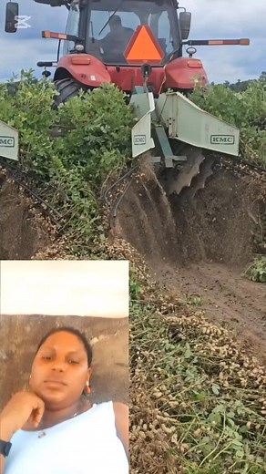 2.3K views · 19 reactions | Farming made easy | LADY NESTA | Facebook