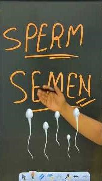 Sperm vs Semen | क्या Sperm और Semen एक ही होते हैं? 🤯 Complete Difference
