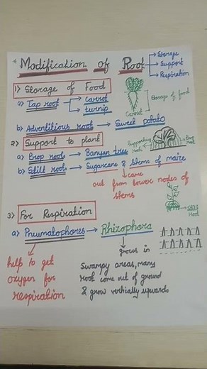 Modification of roots according to ncert important for NEET exam..