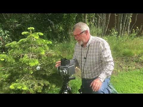 Camera Light Metering Basic to Advanced Pt. 1 - Incident Metering