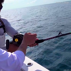 2K views · 80 reactions | CRAZY Reef Offshore Fishing | South Florida Fishing Channel | Facebook