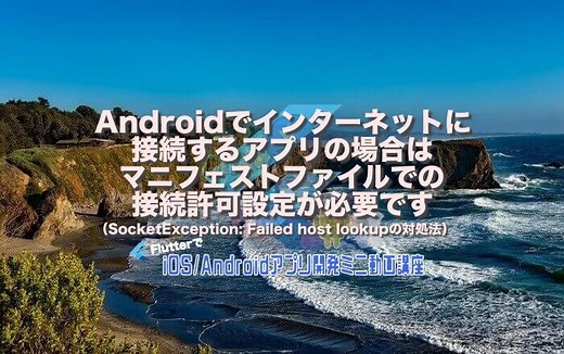 [Flutter]Androidでインターネットに接続するアプリの場合はマニフェストファイルでの接続許可設定が必要です（SocketException: Failed host lookupの対処法） – みんプロ式 – 40代からの初心者向けスマホアプリ開発講座（Flutter）