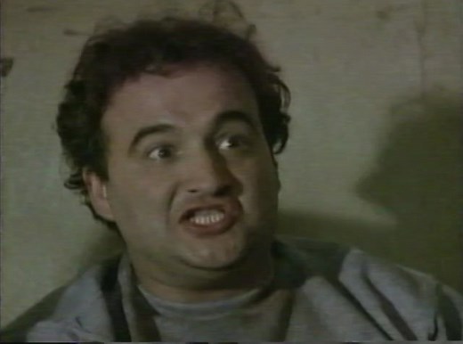 [VHS]The Blues Brothers, Universal Special Editions. Full Movie