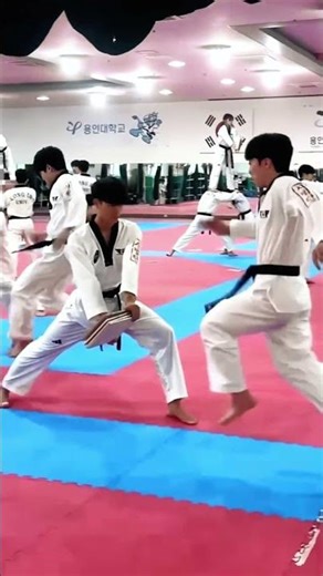 Taekwondo - PART 174 - Taekwondo Training - kick - #Taekwondo #training #tkd #karate #training