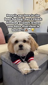 288K views · 6.6K reactions | The Best!! 藍 #jokes #comedy #humor #diarrhea #memes #funny #goodvibes #lol #laugh #funnyreels | Hunter the Bounter | Facebook