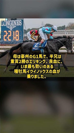 420 Million Yen Top Bid at Select Sale Day 1: Equinox Yearling Tops the Market #Shorts