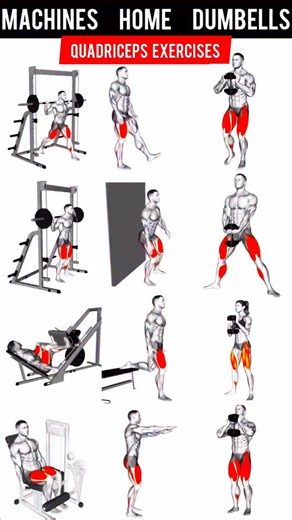 𝗔𝗭𝗥𝗔 𝗤𝗔𝗗𝗜𝗥 | 𝗙𝗜𝗧𝗡𝗘𝗦𝗦 𝗧𝗥𝗔𝗜𝗡𝗘𝗥 on Instagram: "Machines + home + dumbells quads exercises"