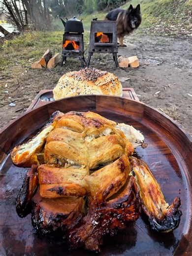 #cooking #cookingforest #outdoorcooking #survivor #fyp | outdoor cooking