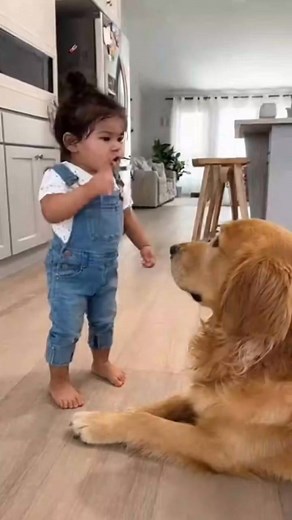 Cat vs Cute baby | Twpclipped