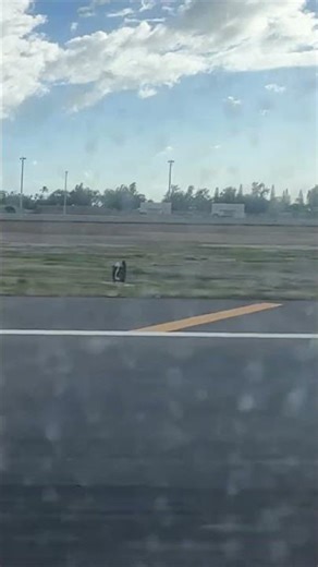 Hawaiian B712 - Landing into HNL #hawaiianairlines #boeing717 #aviation #landing #arrival