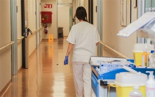 Morbo della mucca pazza, un caso ad Arezzo. Asl: "Nessun legame con consumo carne bovina"