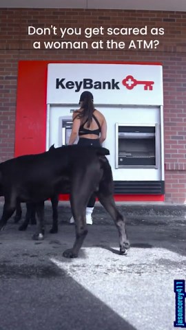 Funniest and Most Surprising Moments From Amazing Animal