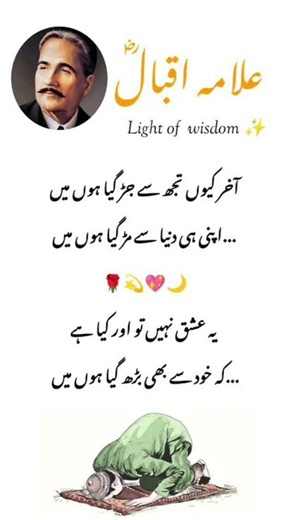 Light of Wisdom motivational speaker Allama Muhammad Iqbal Great poetry Nice words wonderful lines