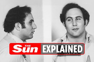 Who is David Berkowitz and where is he now?