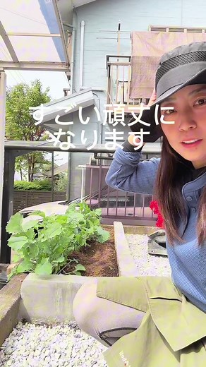 花壇を1日で制作：庭のブロック活用術