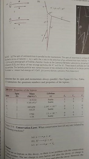 What Are Leptons? Properties of Leptons