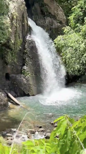 Wait for the Reveal... Hidden Jungle Waterfall! 💧🌿 #Shorts #Nature