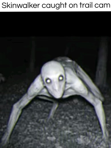 Possible Skinwalker / Cryptid / Alien Hybrid trail cam footage capture #skinwalker #trailcam #cryptid #alienhybrid #paranormal