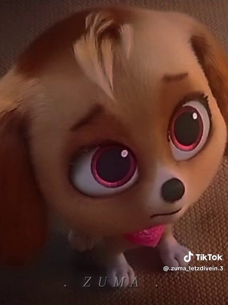 Skye's Heartfelt Message from Paw Patrol